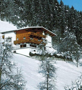 Отель Apartments Steindlhof, Швендау